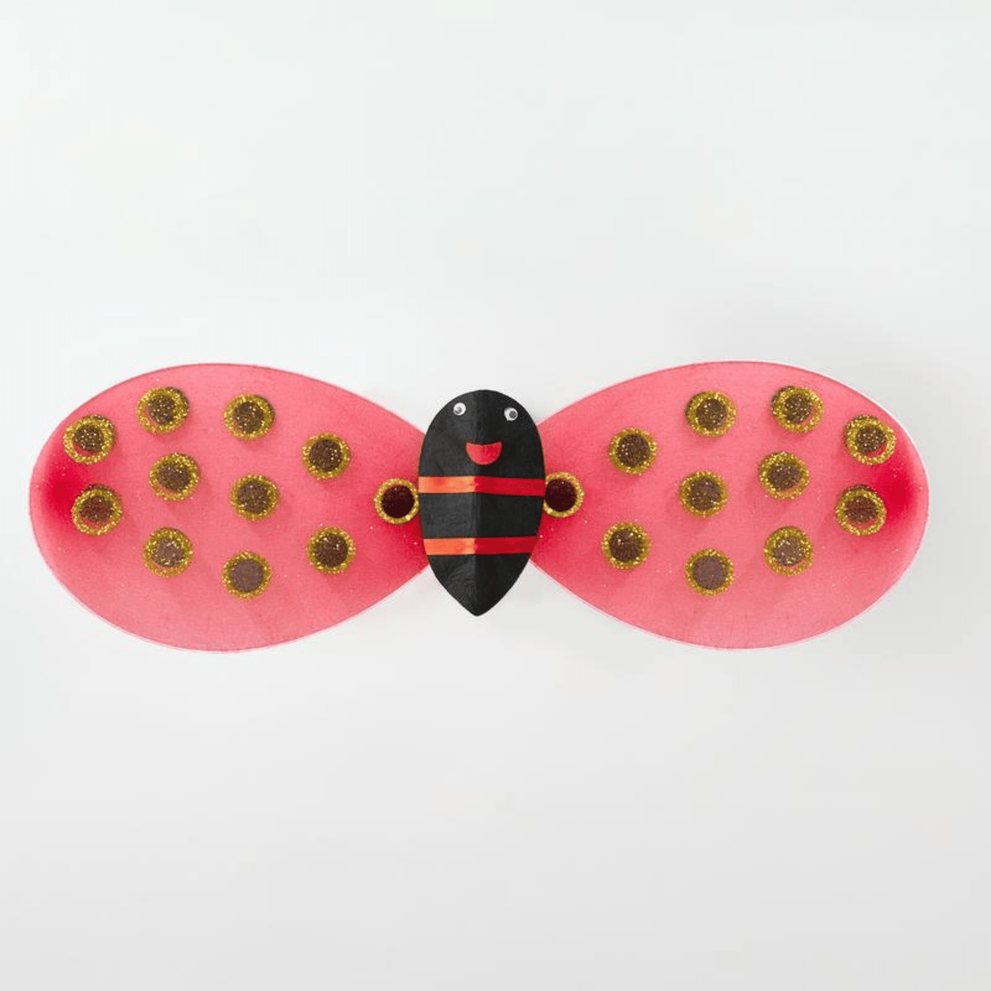 Ladybug Costume