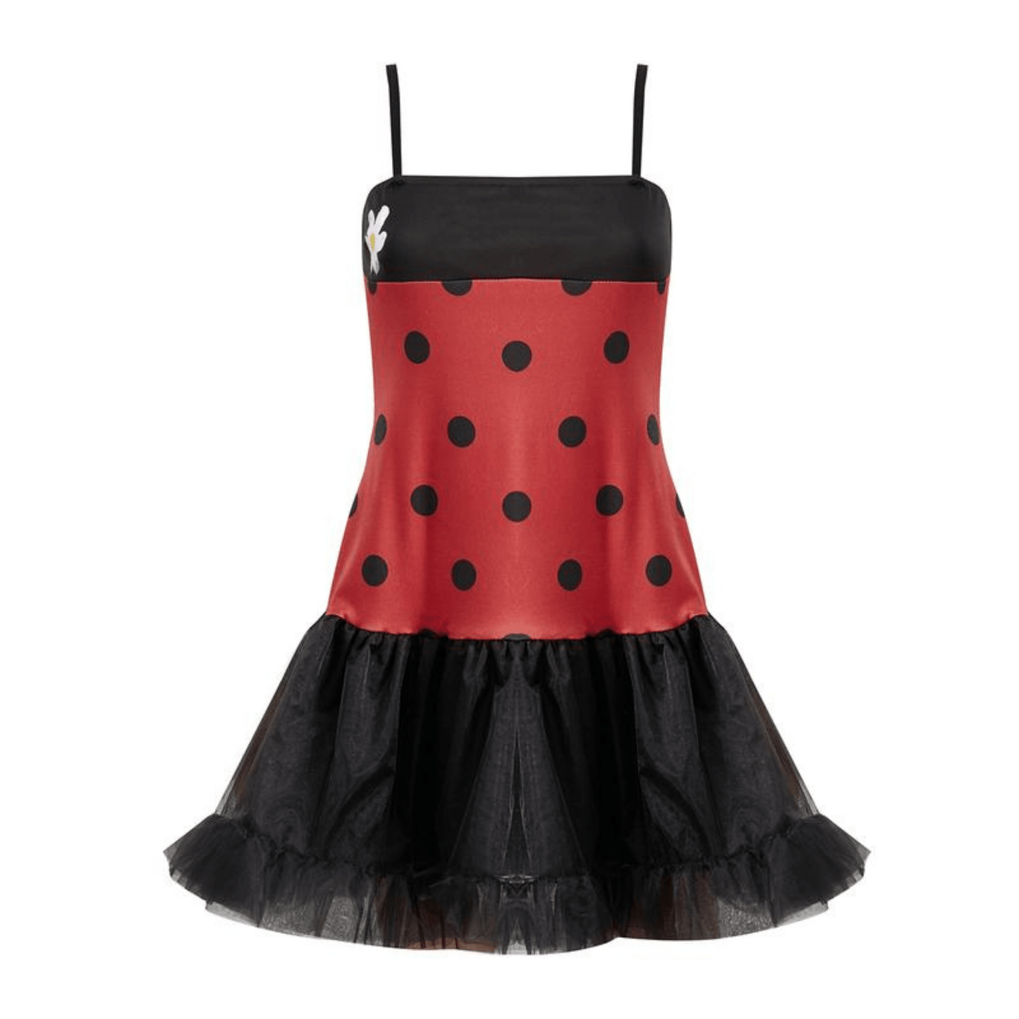 Ladybug Costume