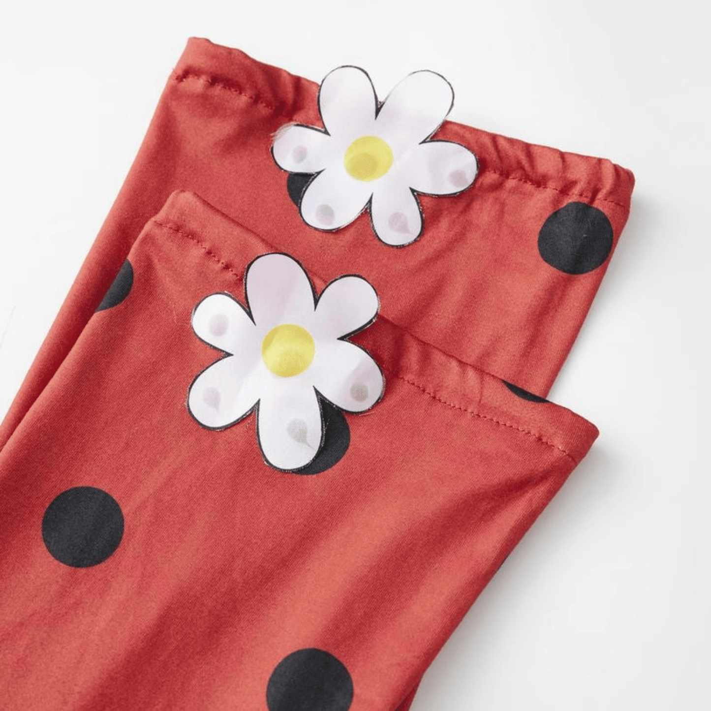 Ladybug Costume