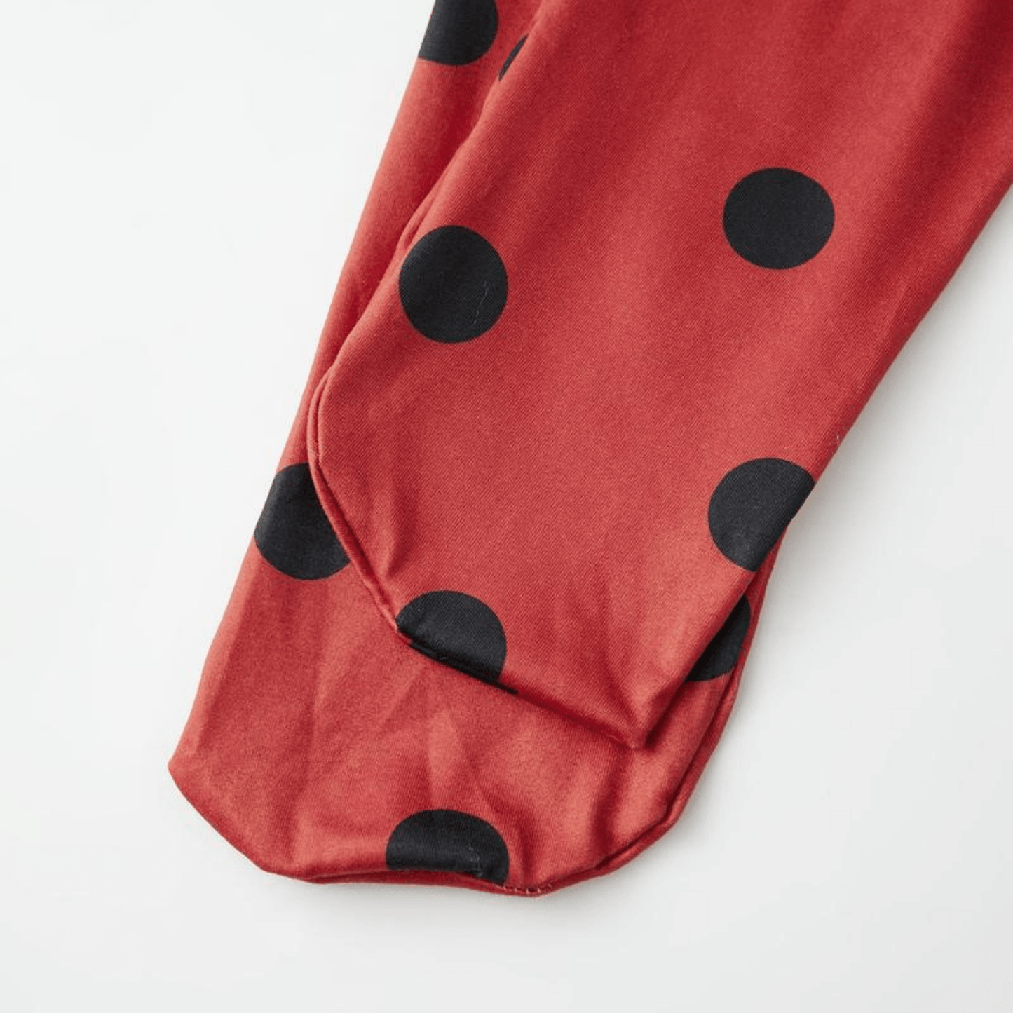 Ladybug Costume